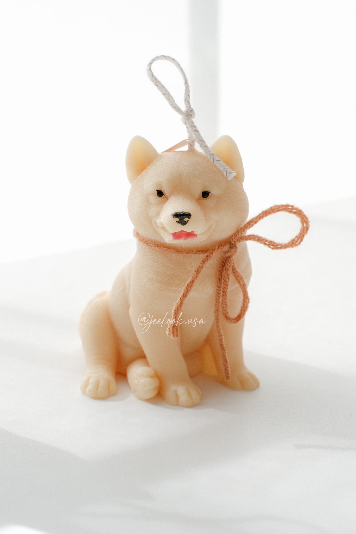 shiba_4.PNG