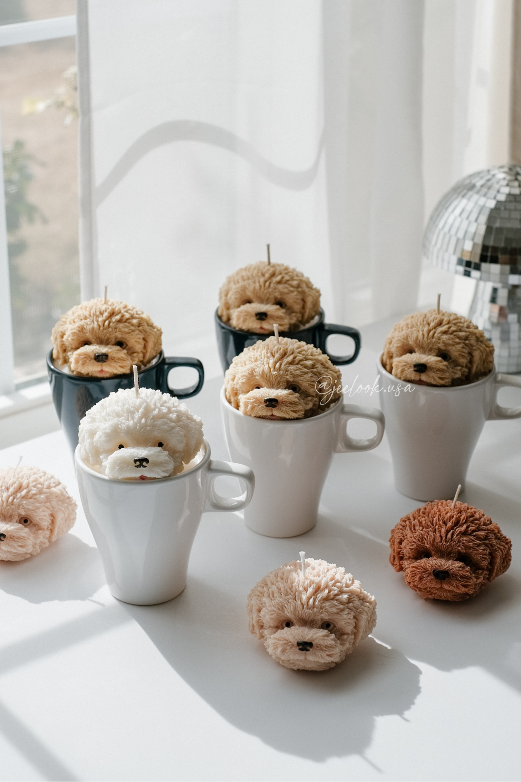 @jeelook.usa - 14.PNG