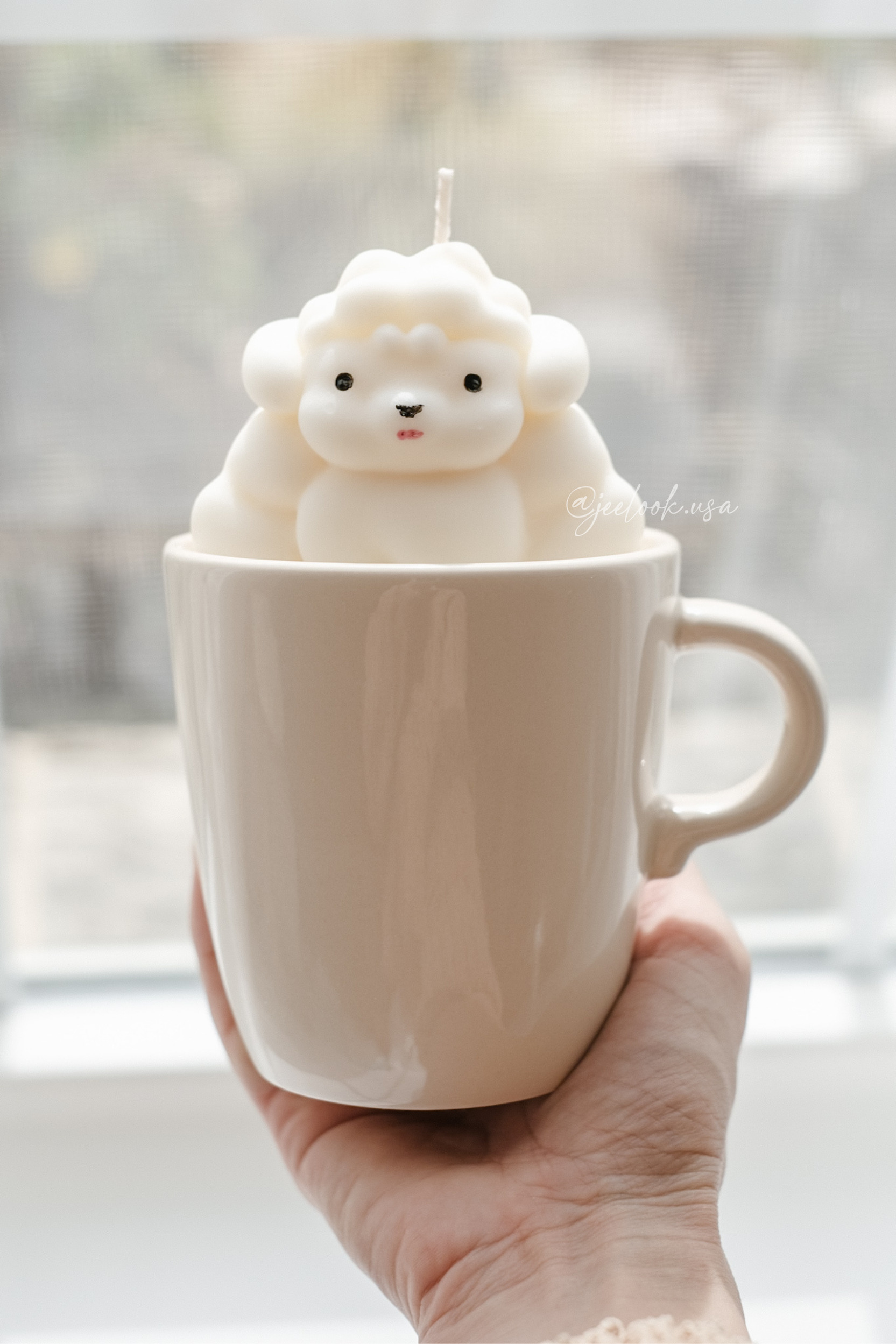 @jeelook.usa - 2.PNG