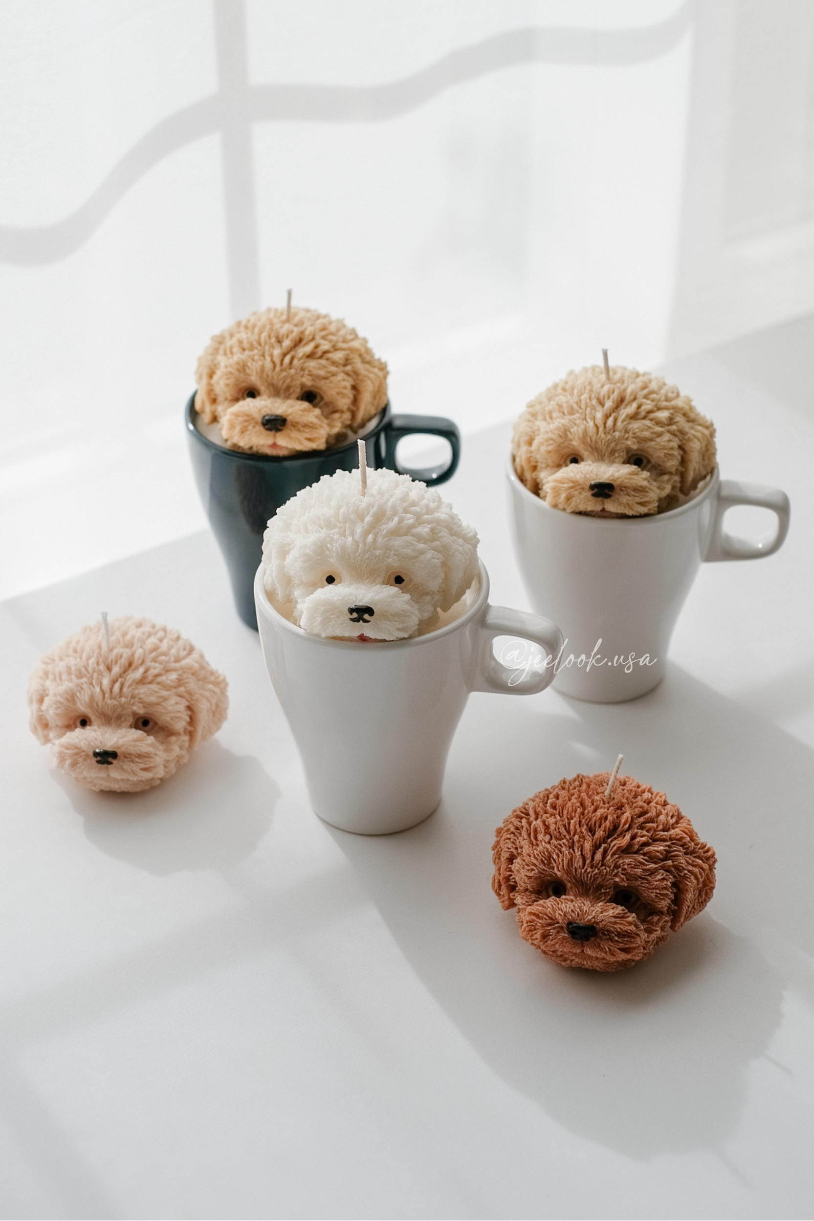 @jeelook.usa - 10.PNG