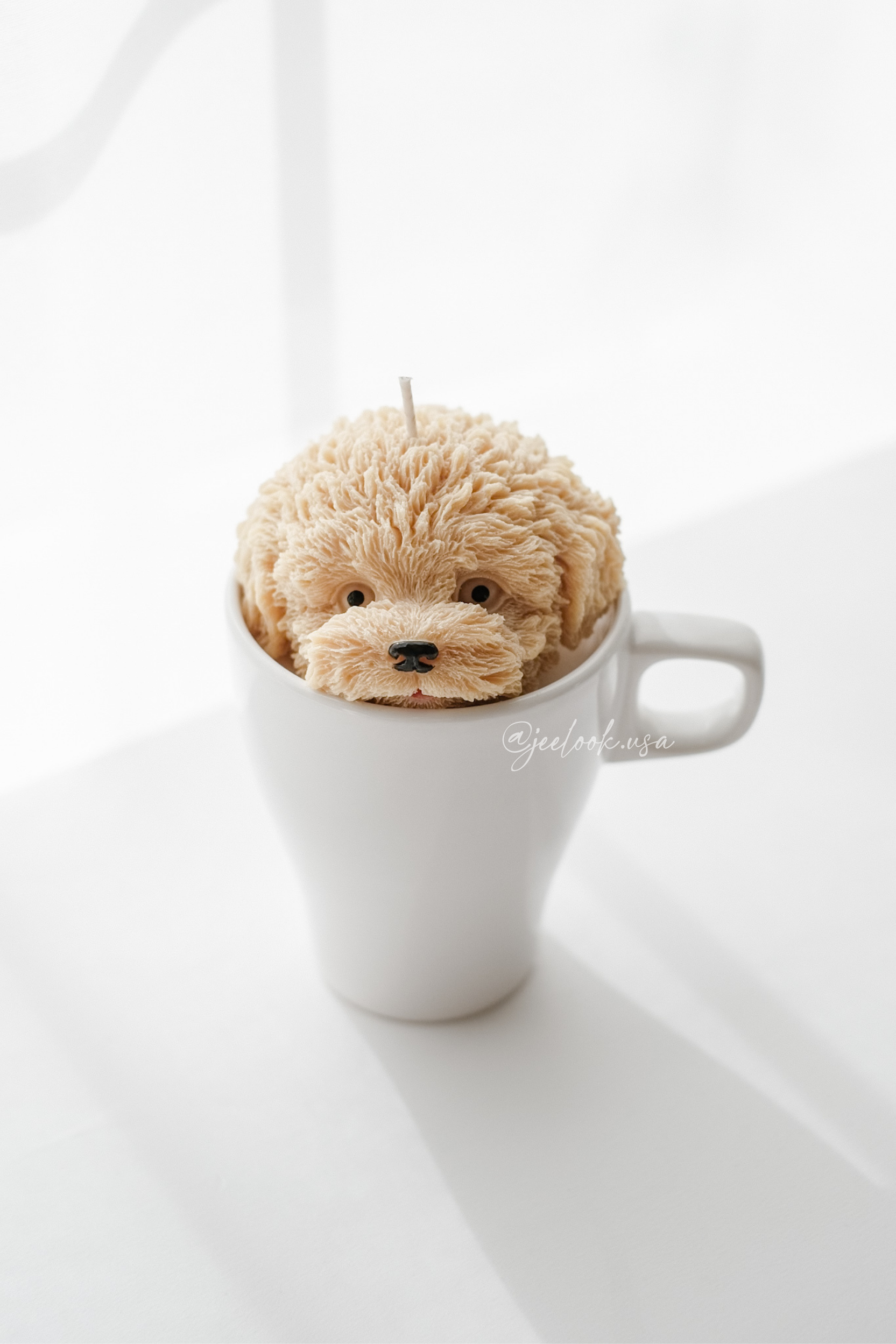 @jeelook.usa - 6.PNG