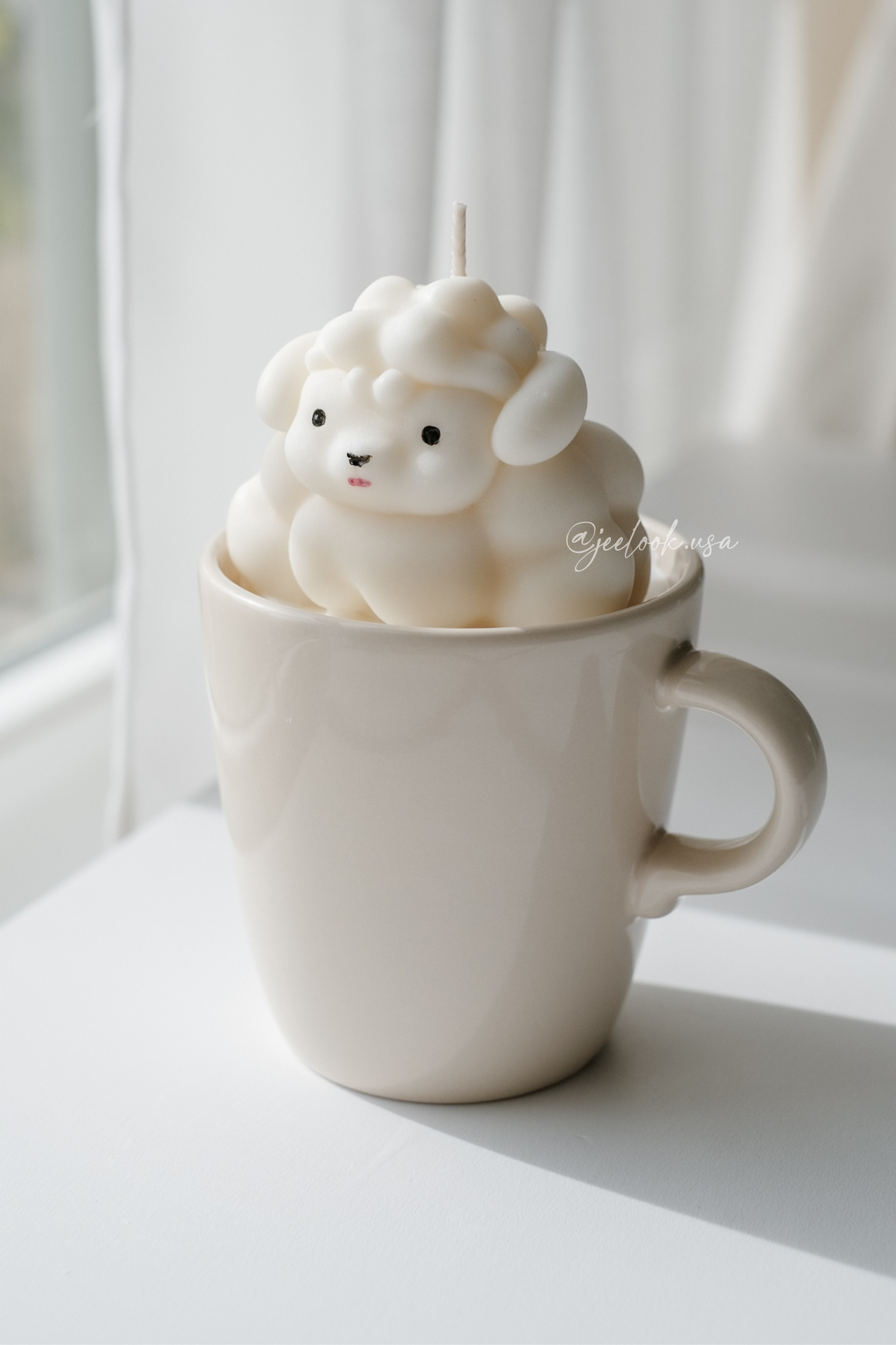 @jeelook.usa - 1.PNG