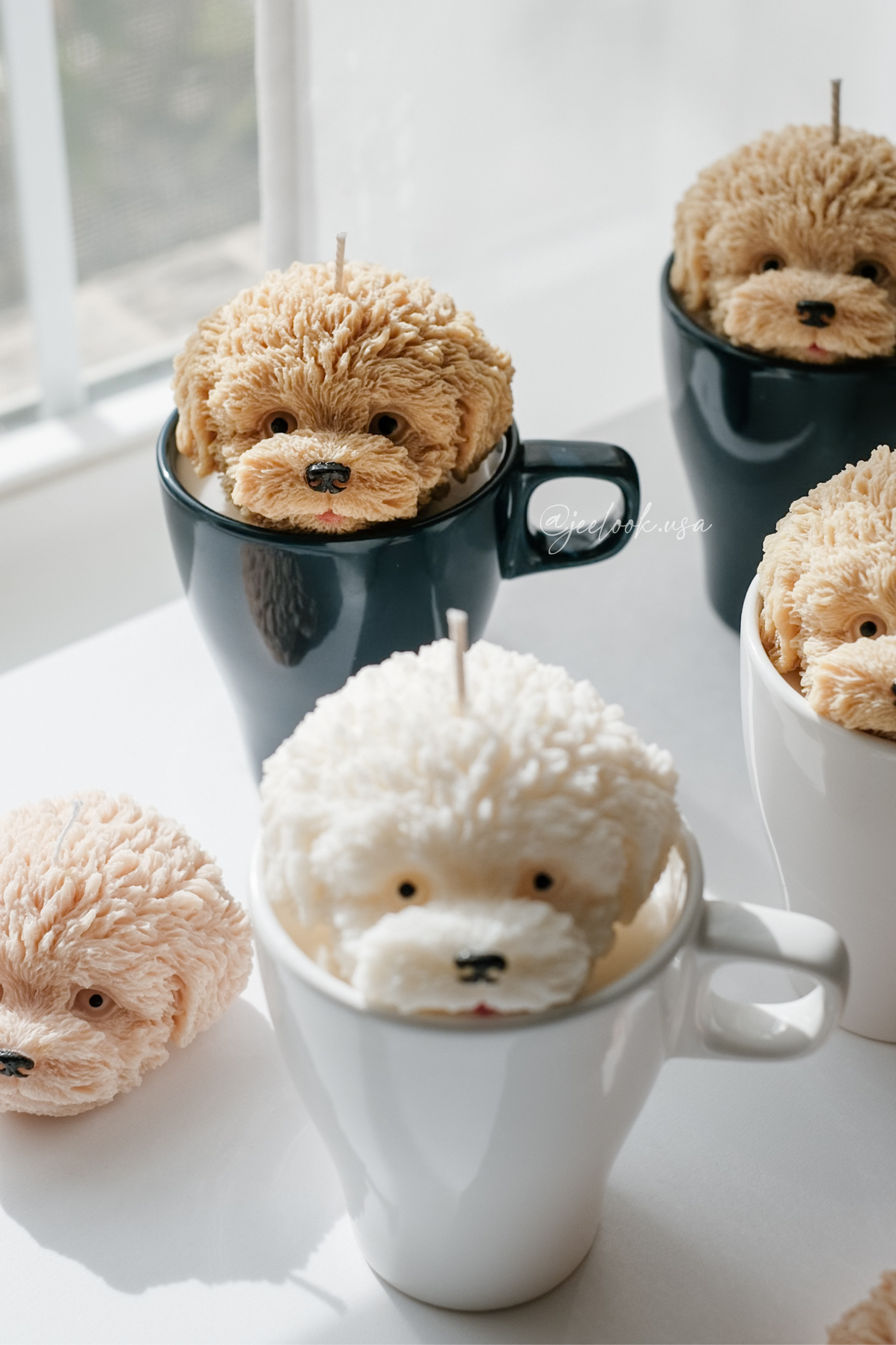 @jeelook.usa - 11.PNG