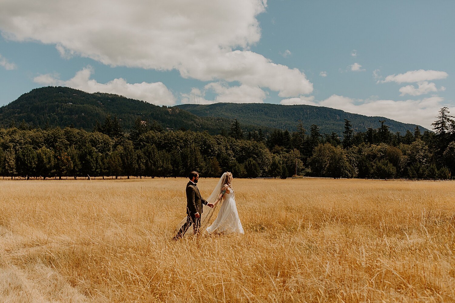 Bride and groom walking through golden field at Mt. Baker Farm on Orcas Island.