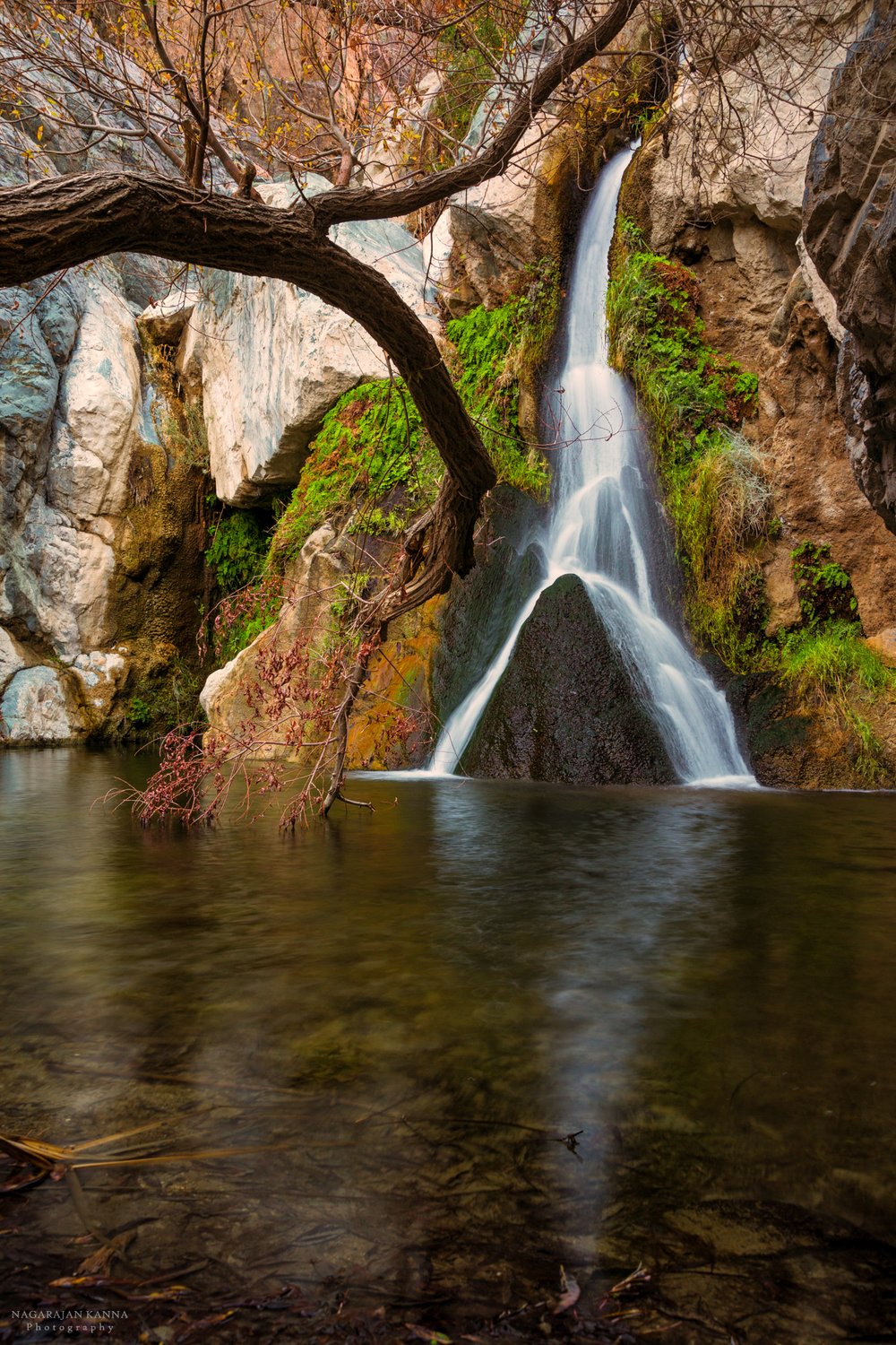 Darwin Falls