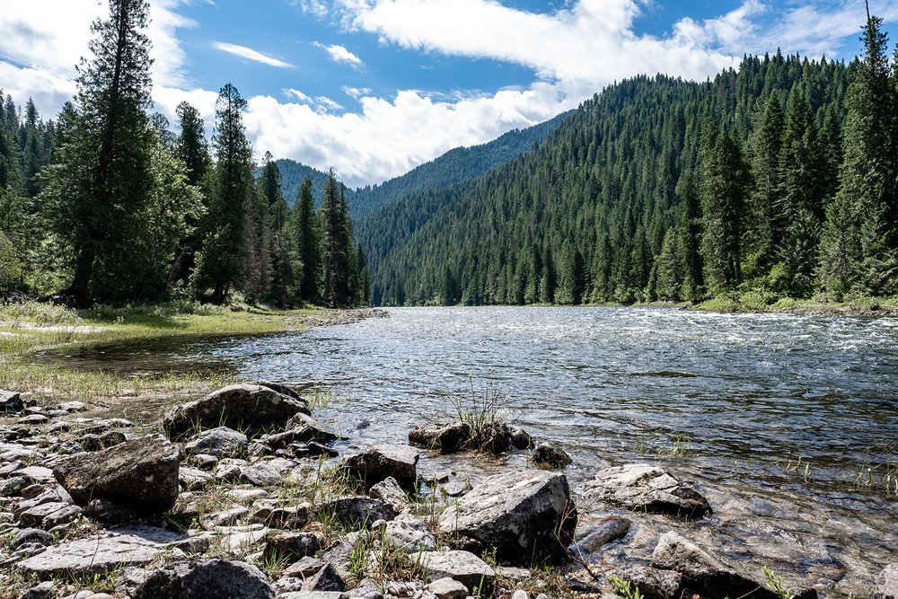 Nez Perce-Clearwater National Forests