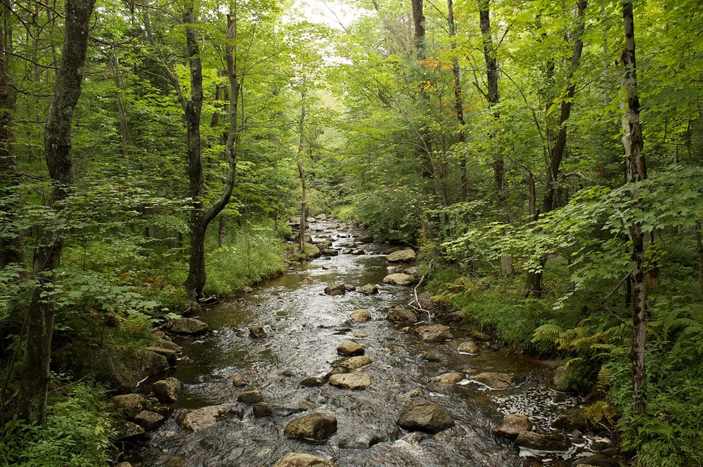 Gardner Memorial Wayside Park