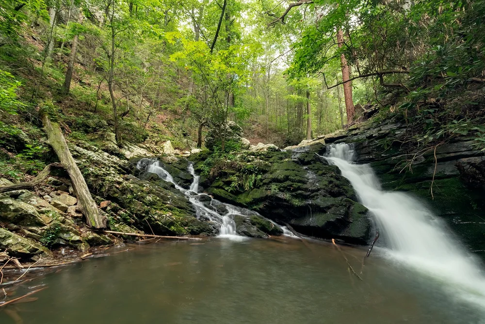 Cherokee Wildlife Management Area