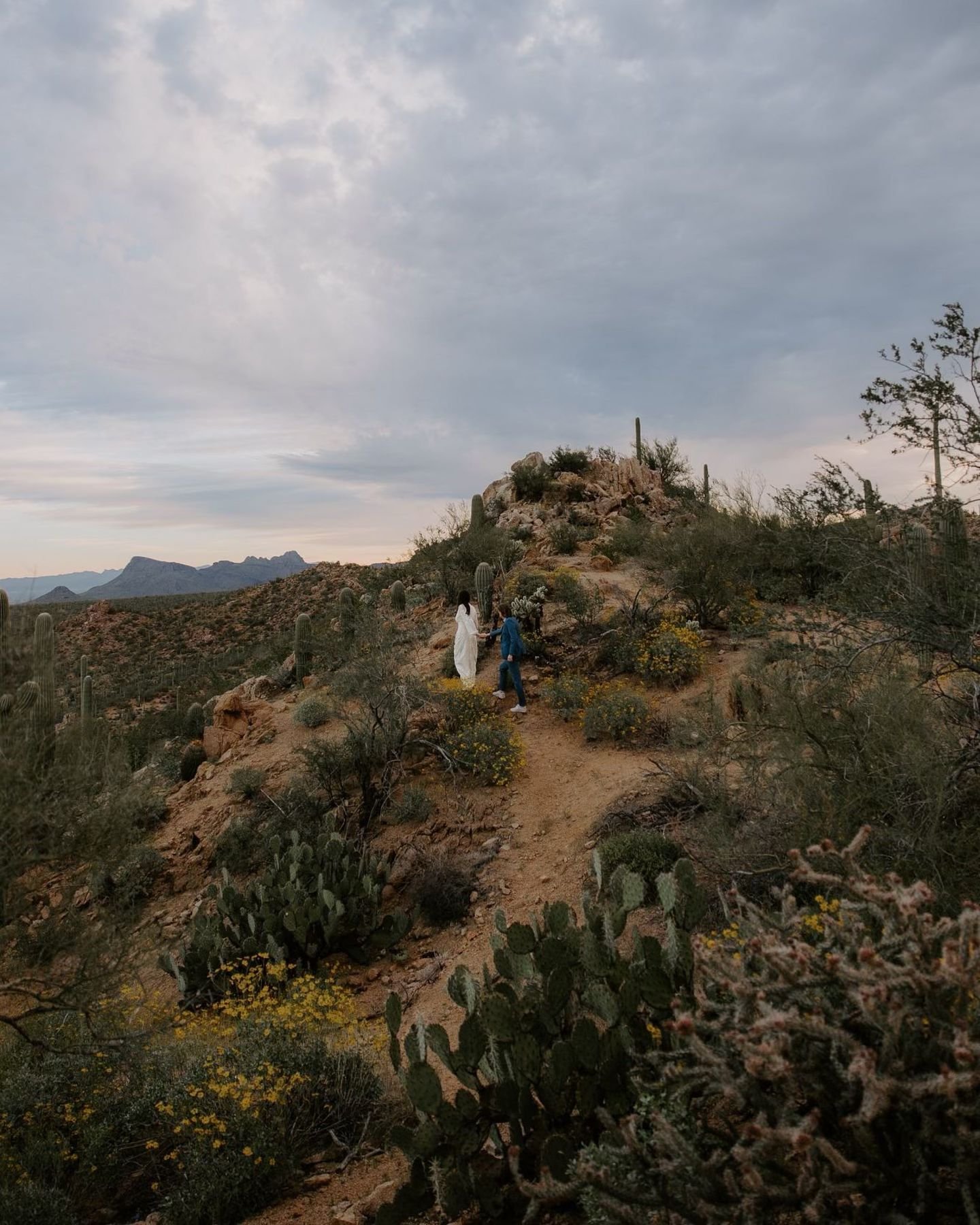 Elope under the Saguaro 🌵 you&rsquo;ll never regret it 😉

The Creative Team ✨
Florals: @melissalindblom 
Hair: @hairbyclarawest 
Videographer: @jackilynlund 
Photographer &amp; Planner: @b.wolf.photography 
Officiant: @cbrad89 
Sara&rsquo;s Attire: