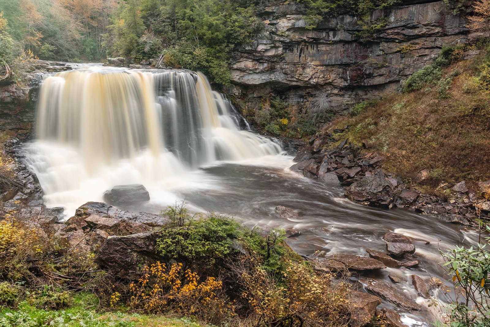 Blackwater Falls State Park