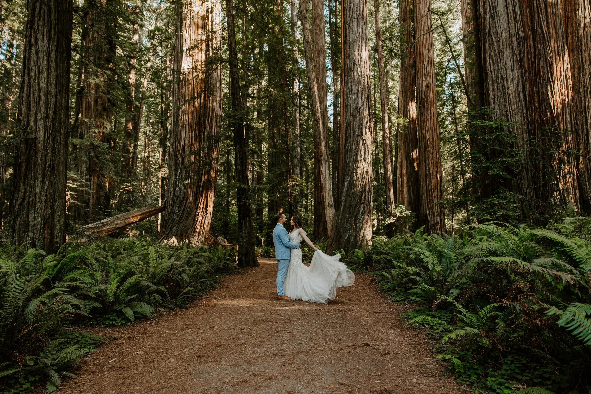 Couple embracing in Stout Grove, Jedediah Smith Redwoods State Park, surrounded by ancient old-growth coastal redwoods and lush fern understory, northern California