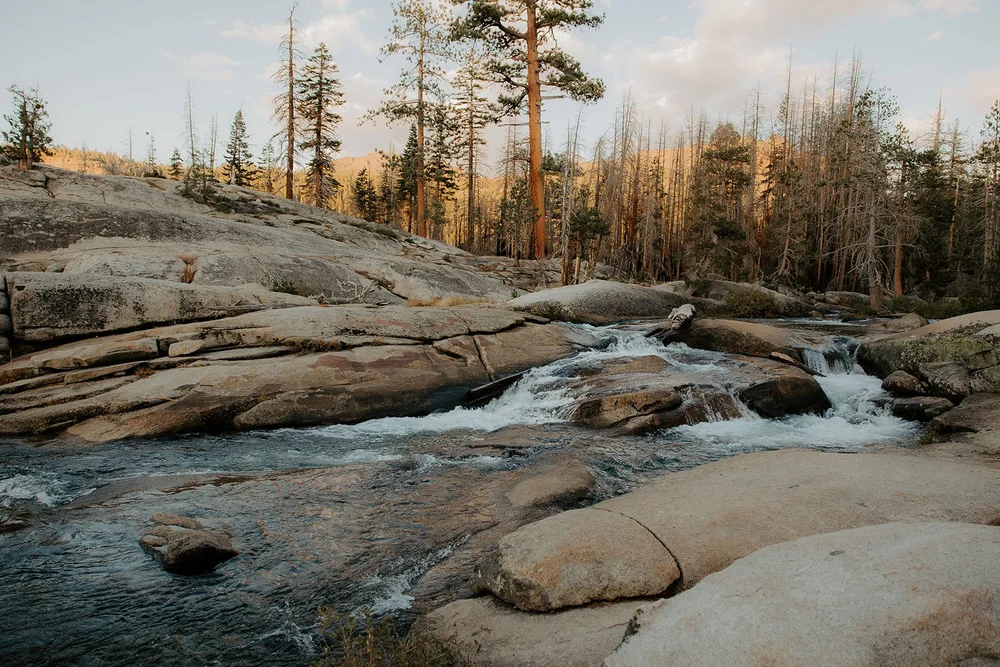 Eldorado National Forest