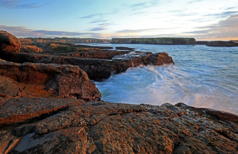 Point Arena-Stornetta Unit