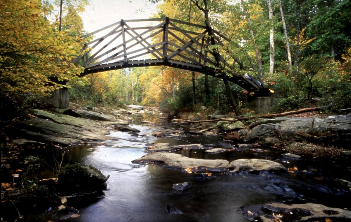 Prince William Forest Park