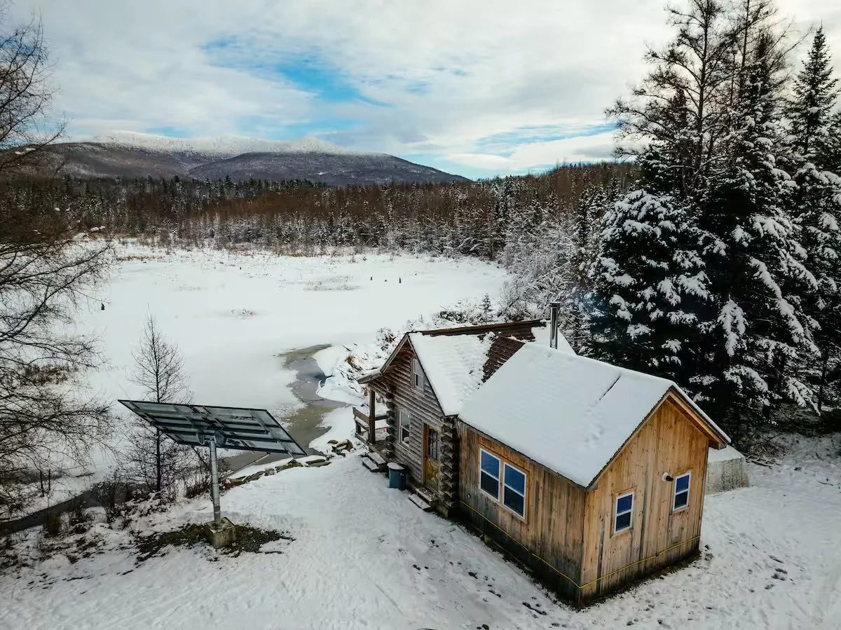 Wayback in the Woods