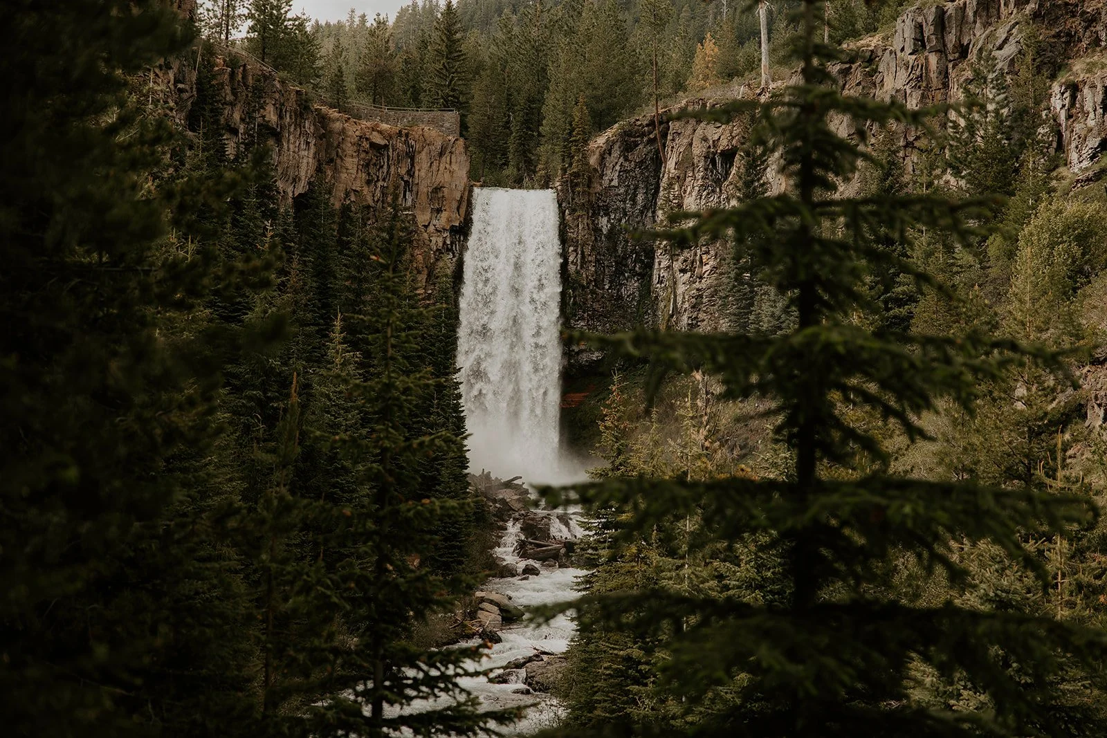 Deschutes National Forest
