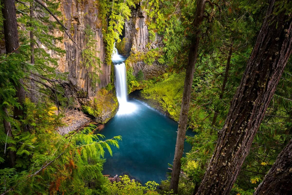 Umpqua National Forest