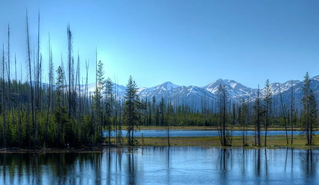 Wallowa–Whitman National Forest