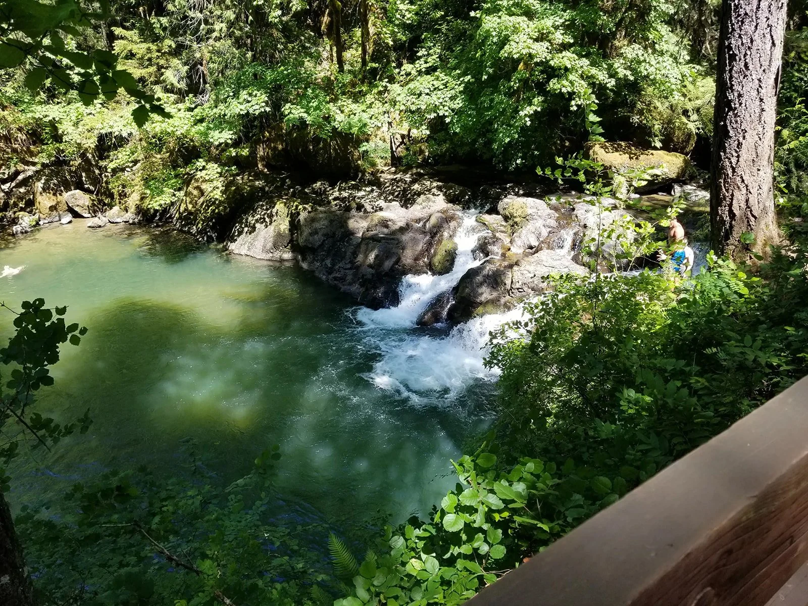 Cavitt Creek Falls Recreation Site