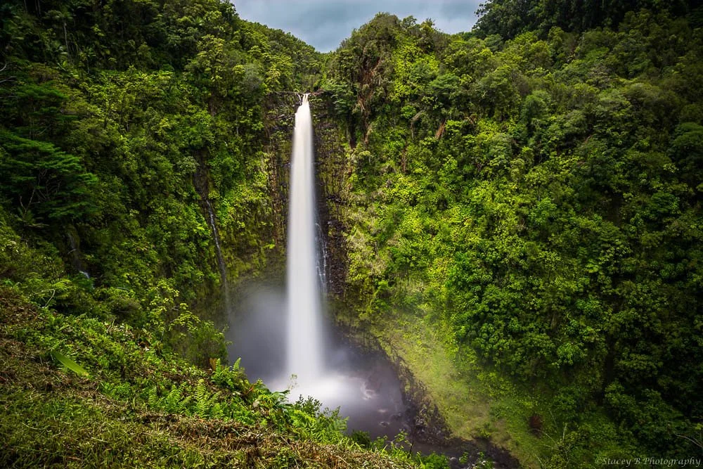 Akaka Falls State Park