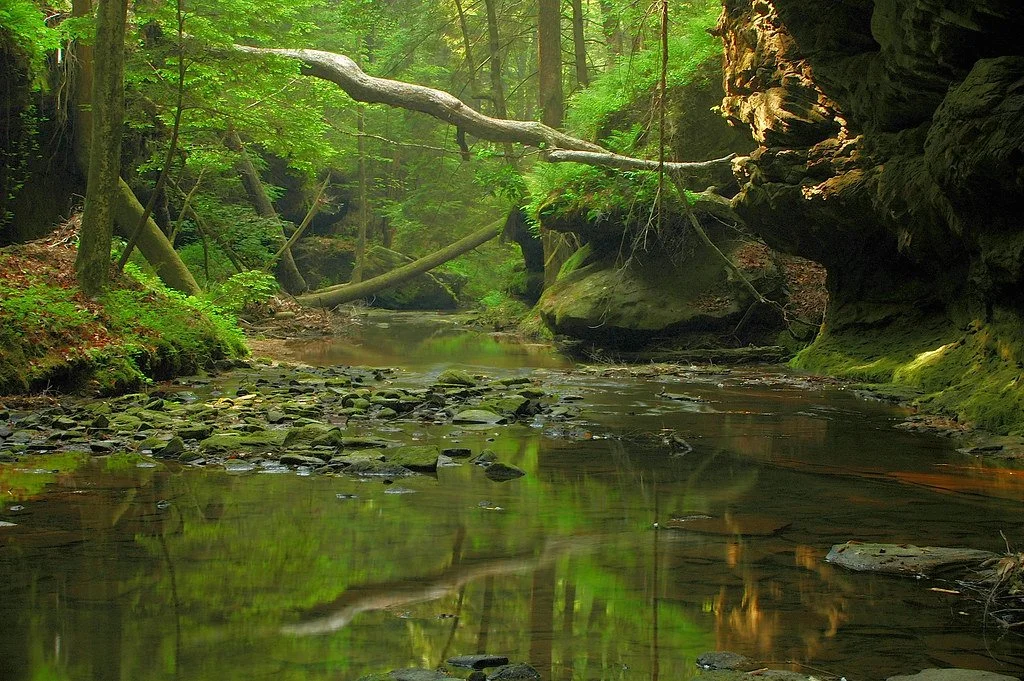 Bankhead NF - Caney Creek.jpg