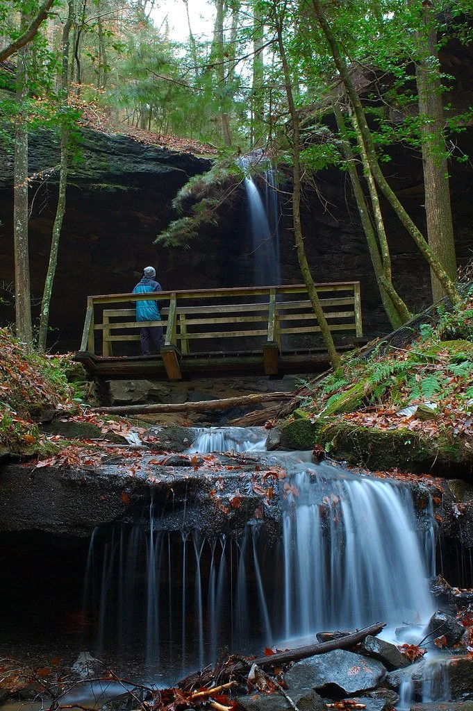 Sipsey Wilderness-3.jpg