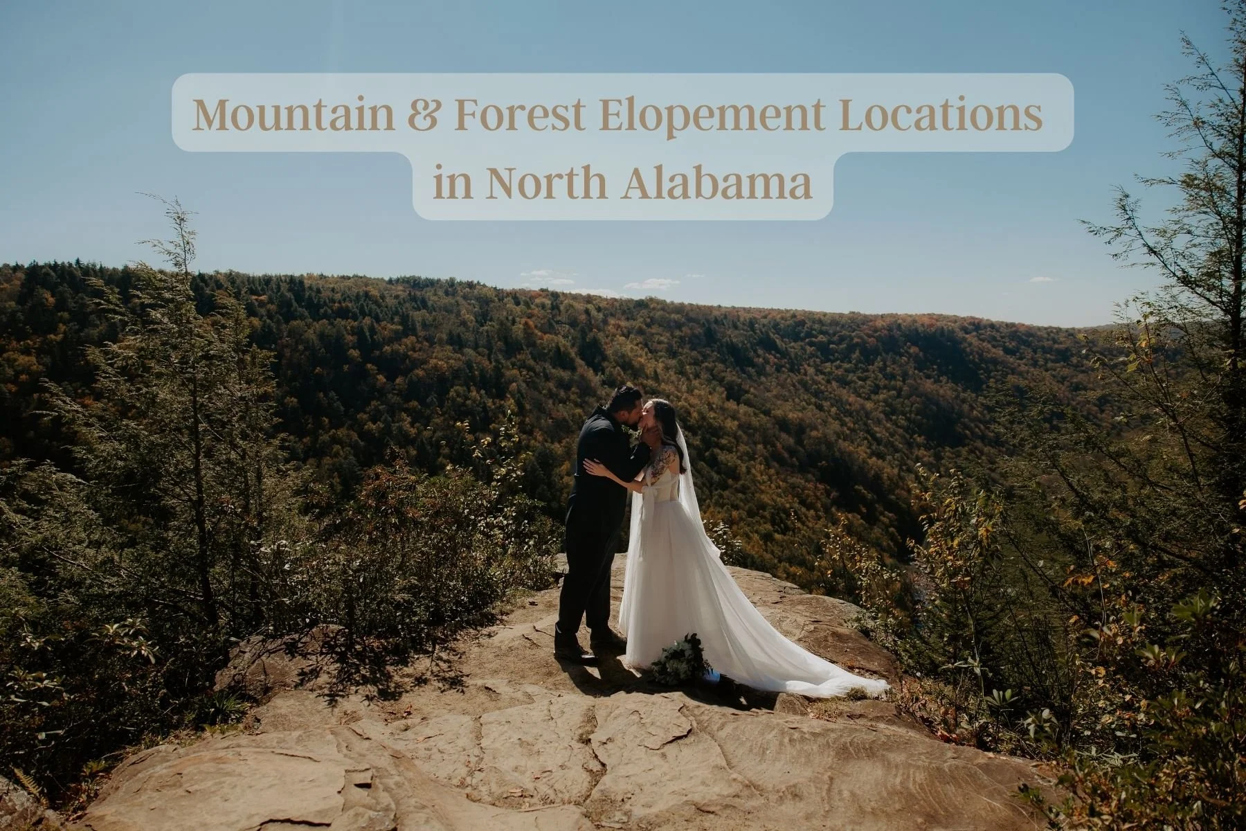 Mountain &amp; Forest Elopement Locations in North Alabama
