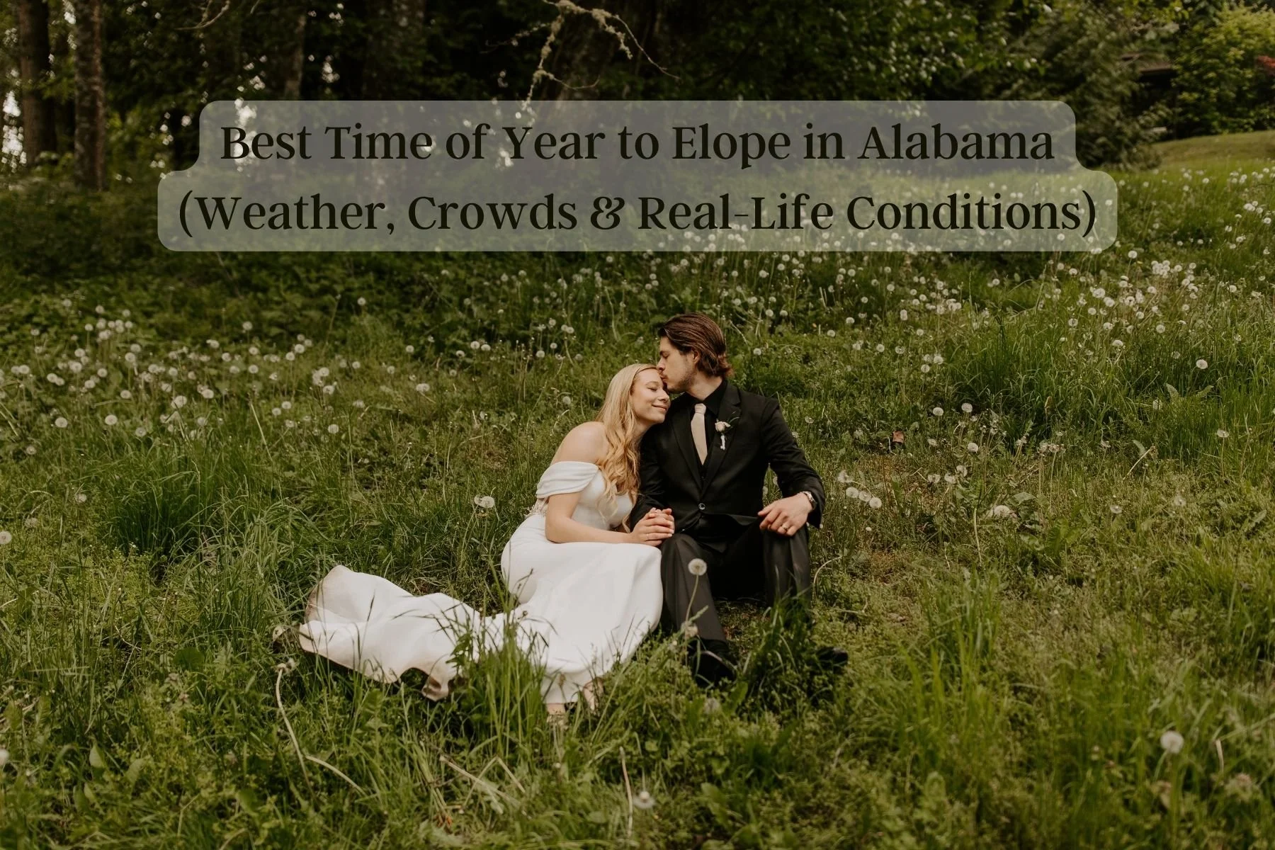 Best Time of Year to Elope in Alabama (Weather, Crowds & Real-Life Conditions)