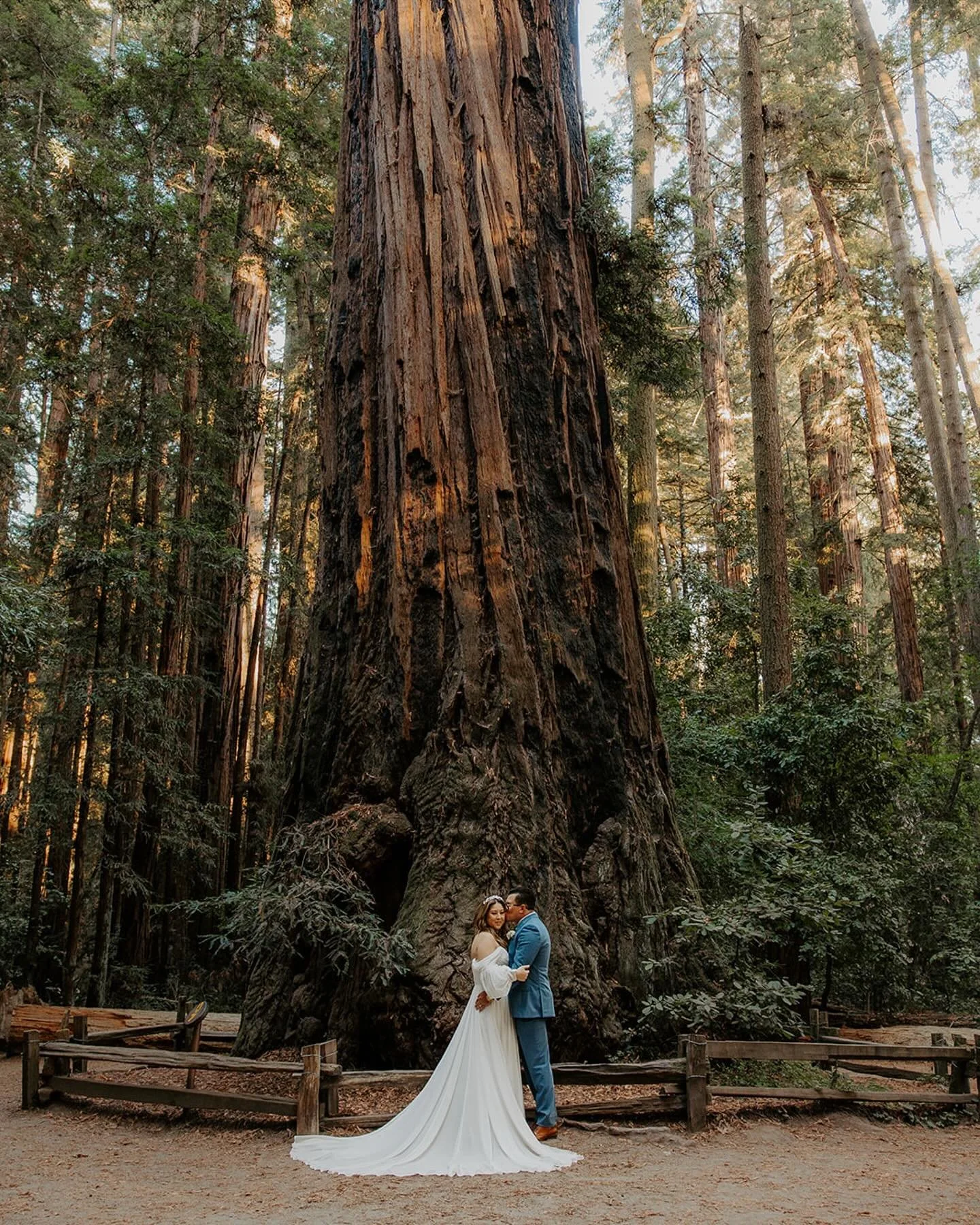 When your wedding aisle is a forest trail and your ceremony backdrop is a towering redwood grove&hellip; ✨🌲

Julie &amp; Alexander&rsquo;s elopement at Henry Cowell Redwoods was everything a nature-loving couple could dream of &mdash; peaceful, grou