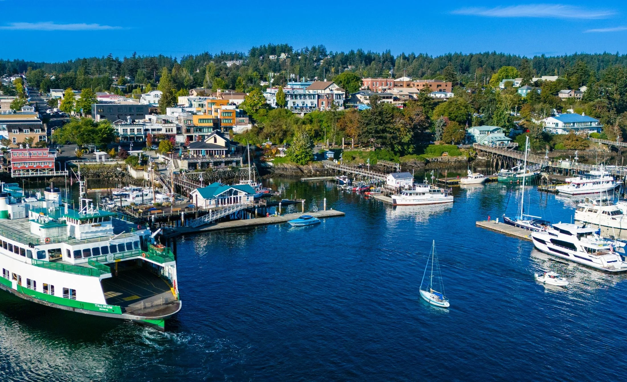Friday Harbor