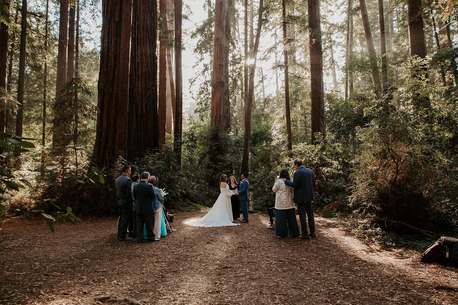 julie+alex_henrycowellredwoods_elopement-109.jpg