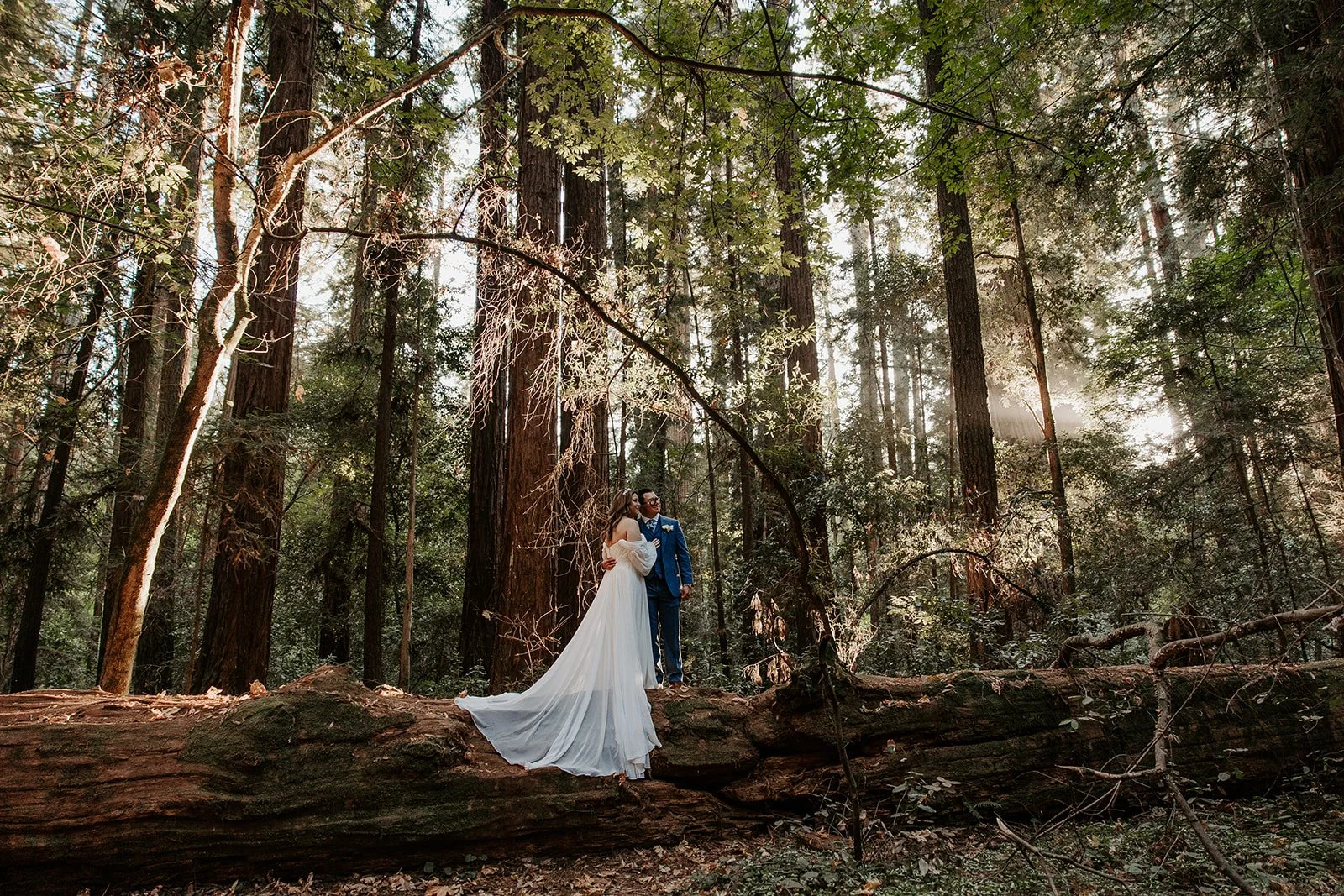 julie+alex_henrycowellredwoods_elopement-305.jpg