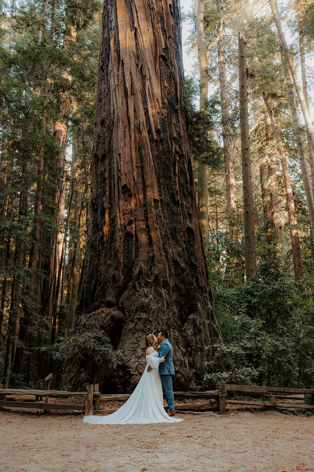 julie+alex_henrycowellredwoods_elopement-341.jpg