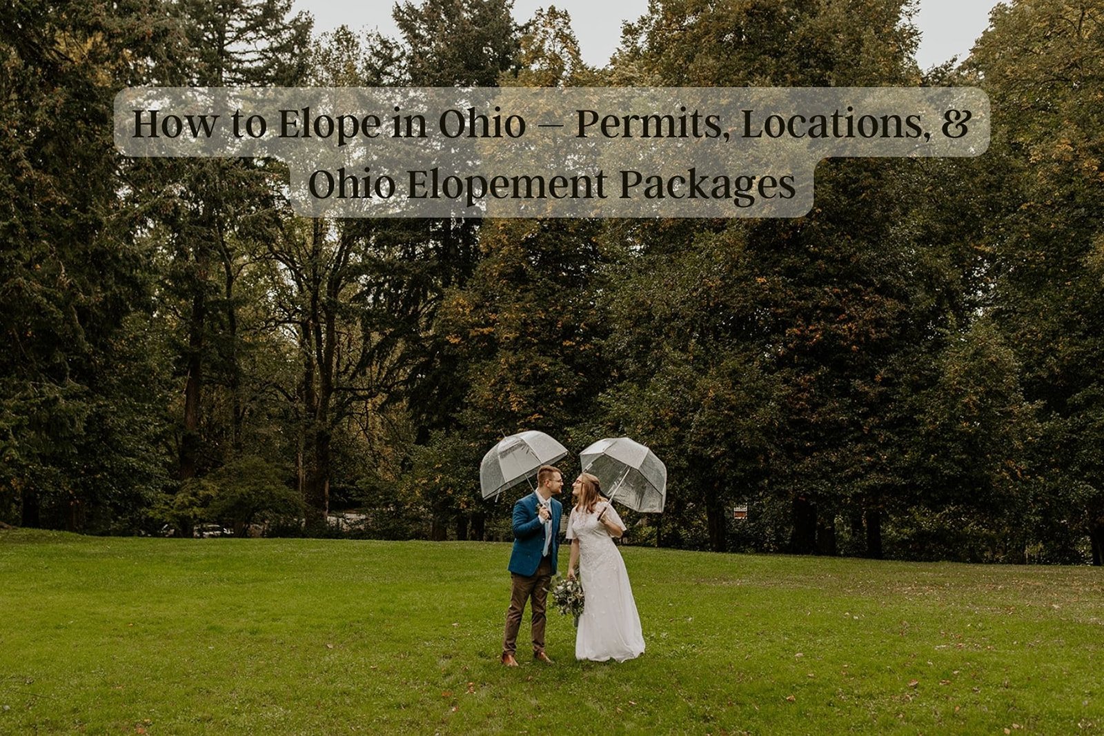 How to Elope in Ohio – Permits, Locations, &amp; Ohio Elopement Packages