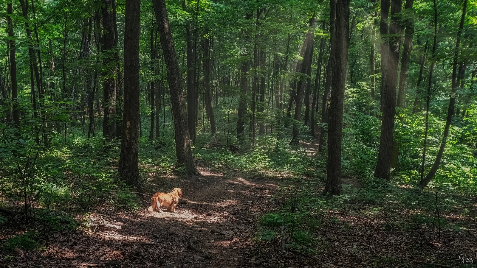 Great Seal State Park