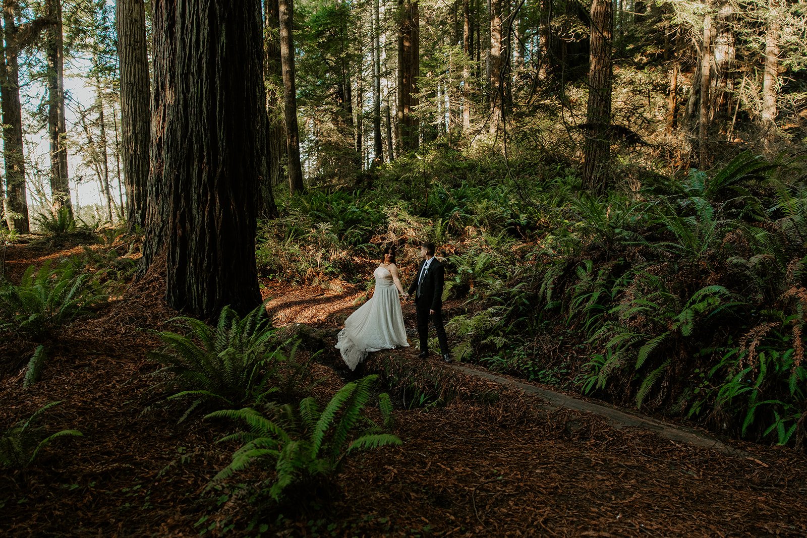 Bride and groom walking hand in hand on a fern-lined trail in Organ Donors Grove, Henry Cowell Redwoods State Park, California