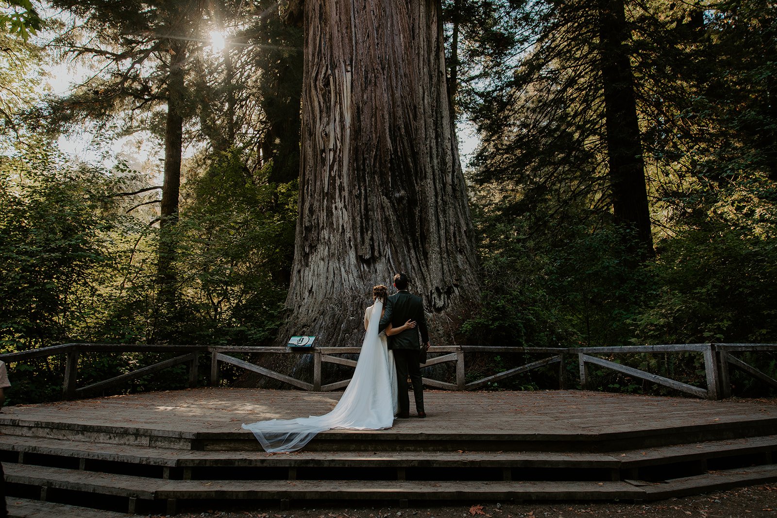 Bride and groom standing together at the base of the Big Tree at Prairie Creek Redwoods State Park, cathedral light, California redwoods elopement