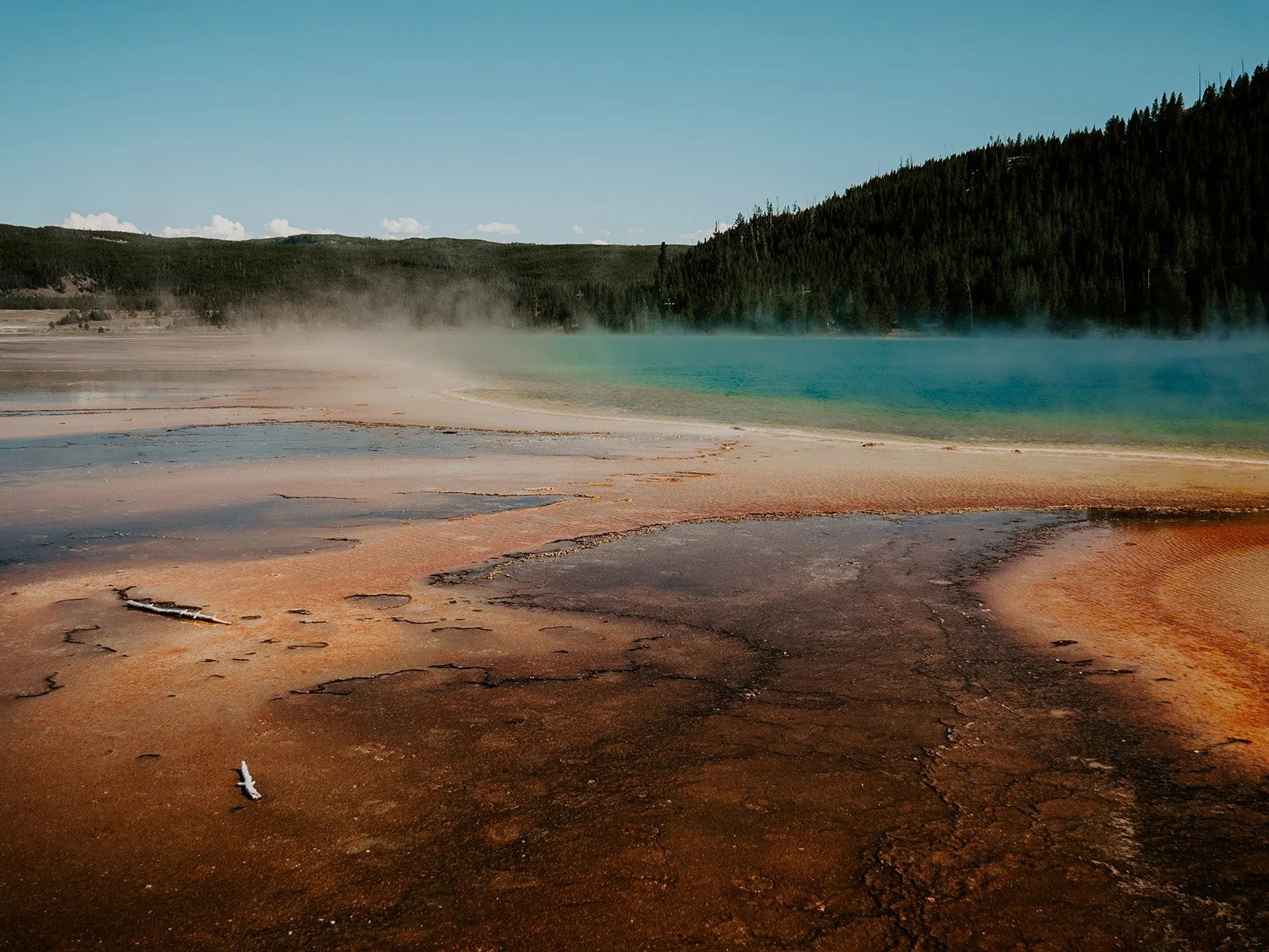 Steam drifting above the brilliant blue waters of Grand Prismatic Spring.