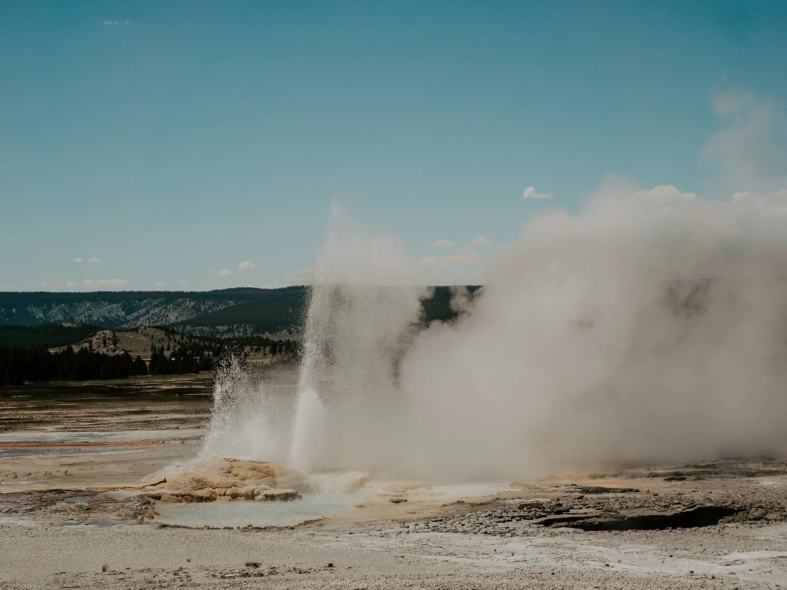 Active geyser erupting along the Fountain Paint Pot Trail in Yellowstone National Park.