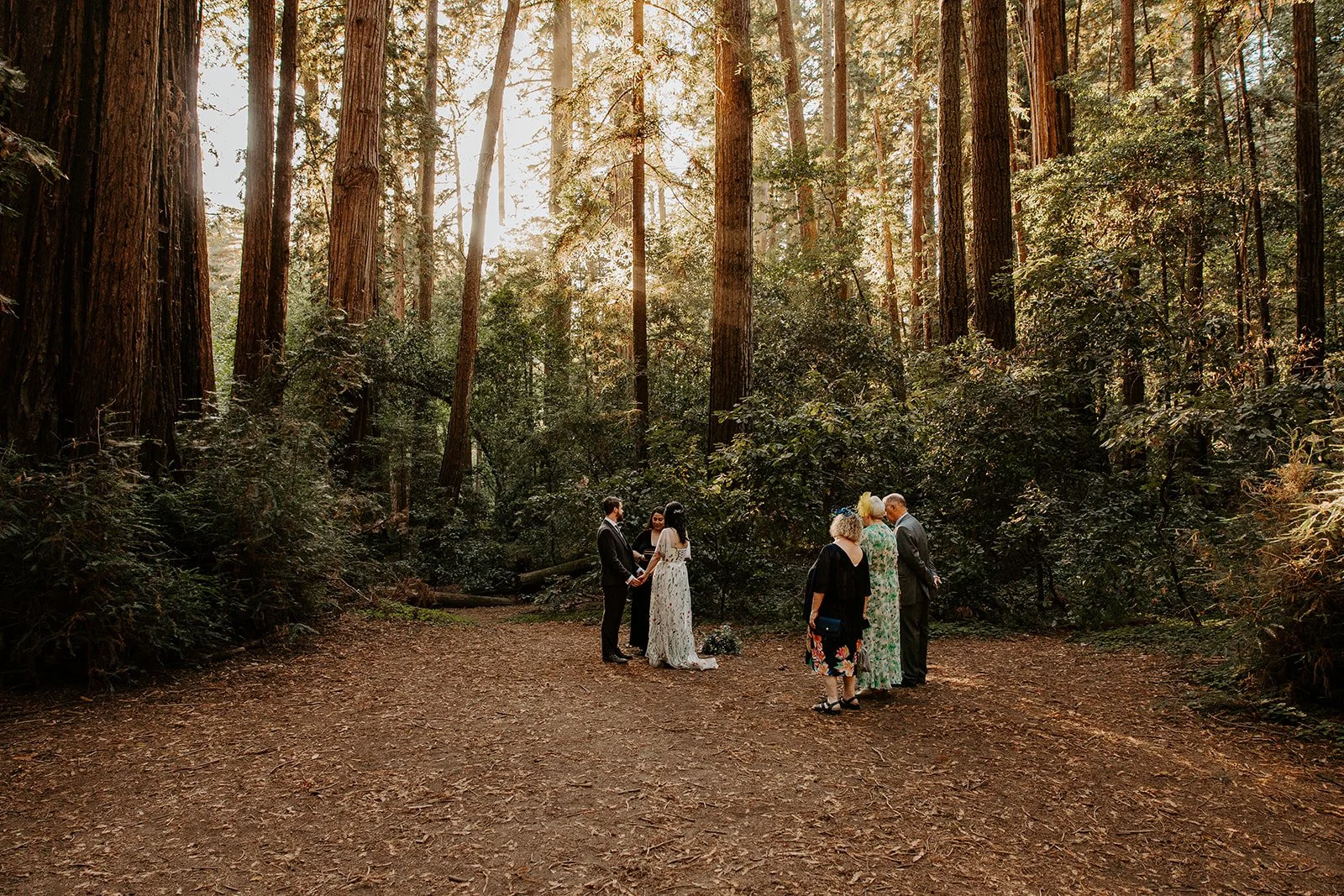 Intimate elopement ceremony with family in the Redwood Grove at Henry Cowell Redwoods State Park, Santa Cruz, California