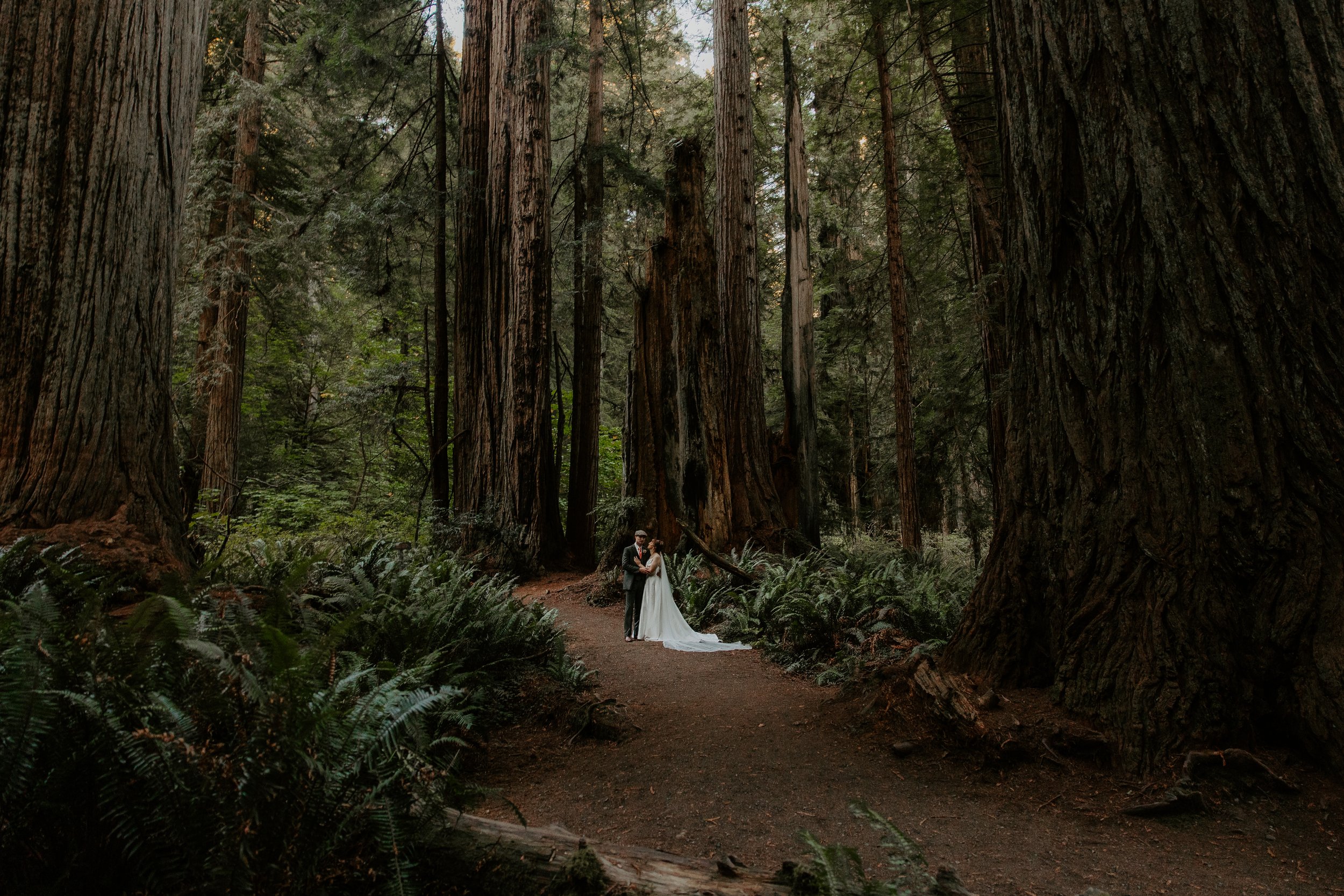 Bride and groom on the Circle Trail between massive old-growth coastal redwood trunks, moody forest light, Prairie Creek Redwoods State Park elopement