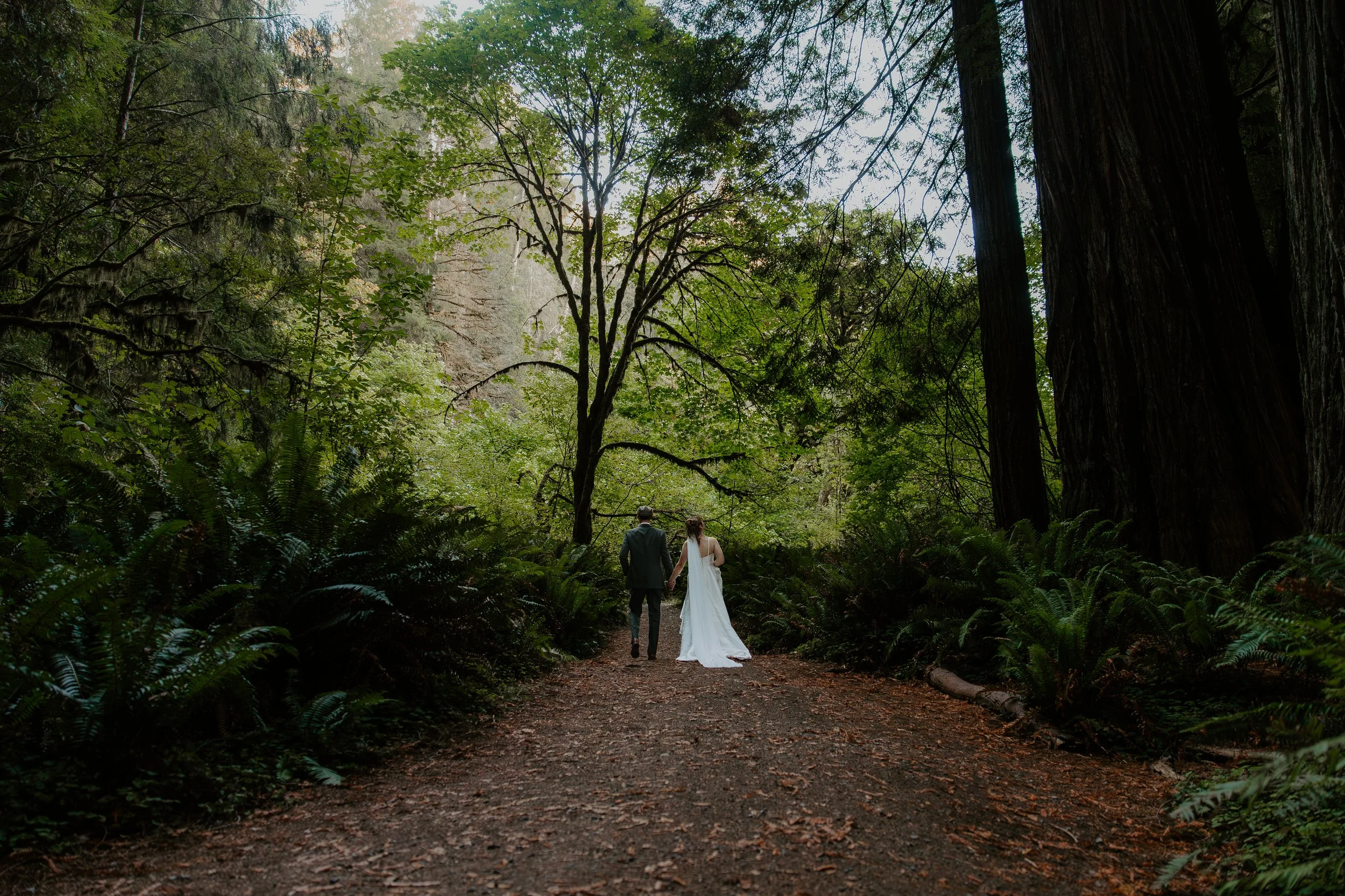 Newlyweds walking hand in hand down a lush fern-lined path on the Circle Trail, Prairie Creek Redwoods State Park, northern California