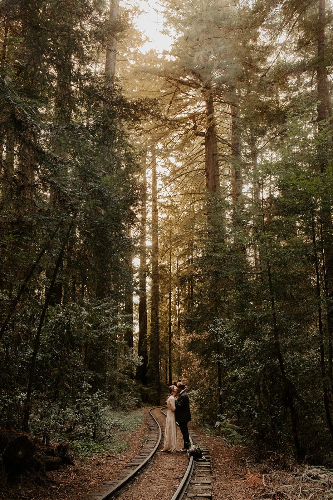 Couple sharing a first kiss on historic Roaring Camp railroad tracks through Henry Cowell Redwoods State Park at golden hour, California