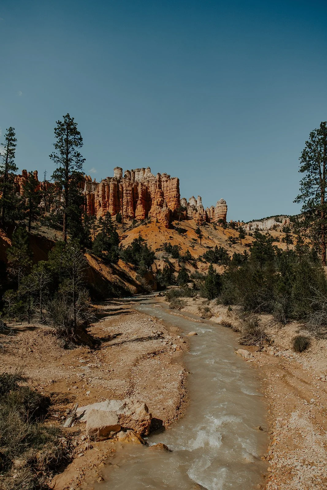 Mossy Cave Trail landscape with river and hoodoos in Bryce Canyon National Park, Utah