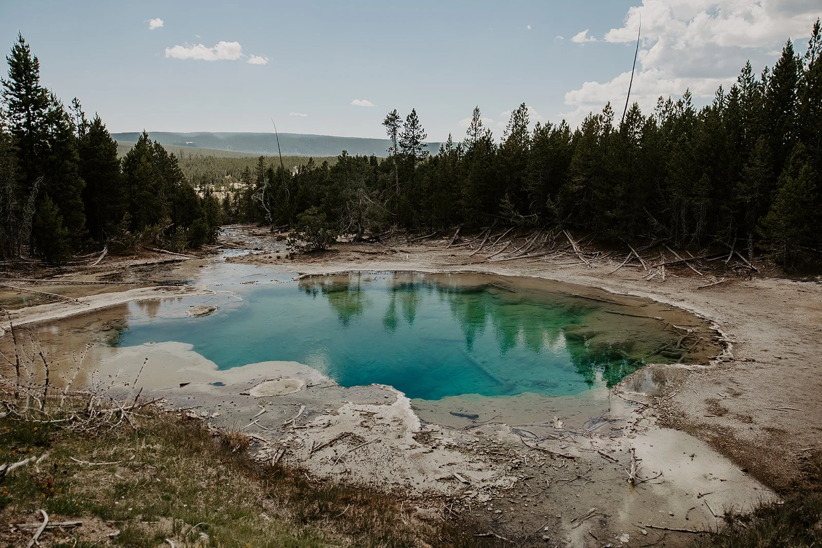 Clear turquoise geothermal pool surrounded by forest in Norris Geyser Basin.