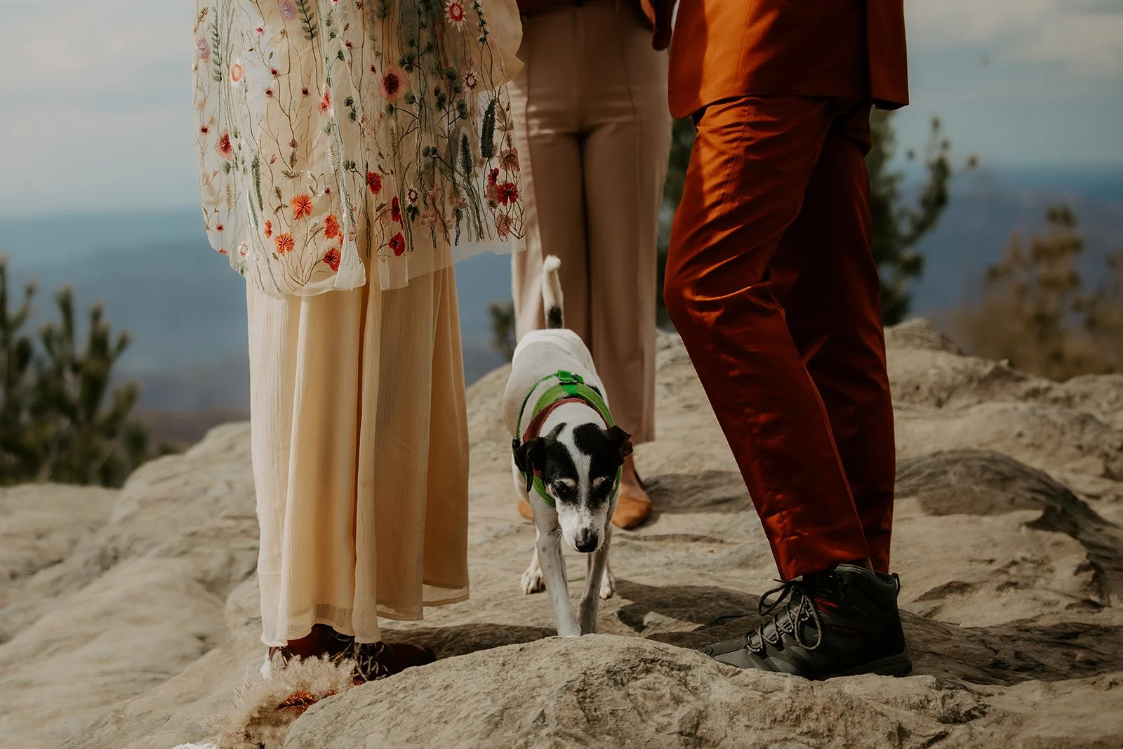 Couple and their dog standing together on a mountain overlook during an adventurous elopement