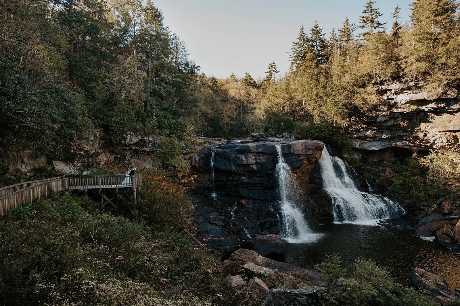 Wide view of Blackwater Falls cascading over dark sandstone into the gorge below, with dense spruce and hardwood forest on both canyon walls and a bride visible on the wooden boardwalk overlook