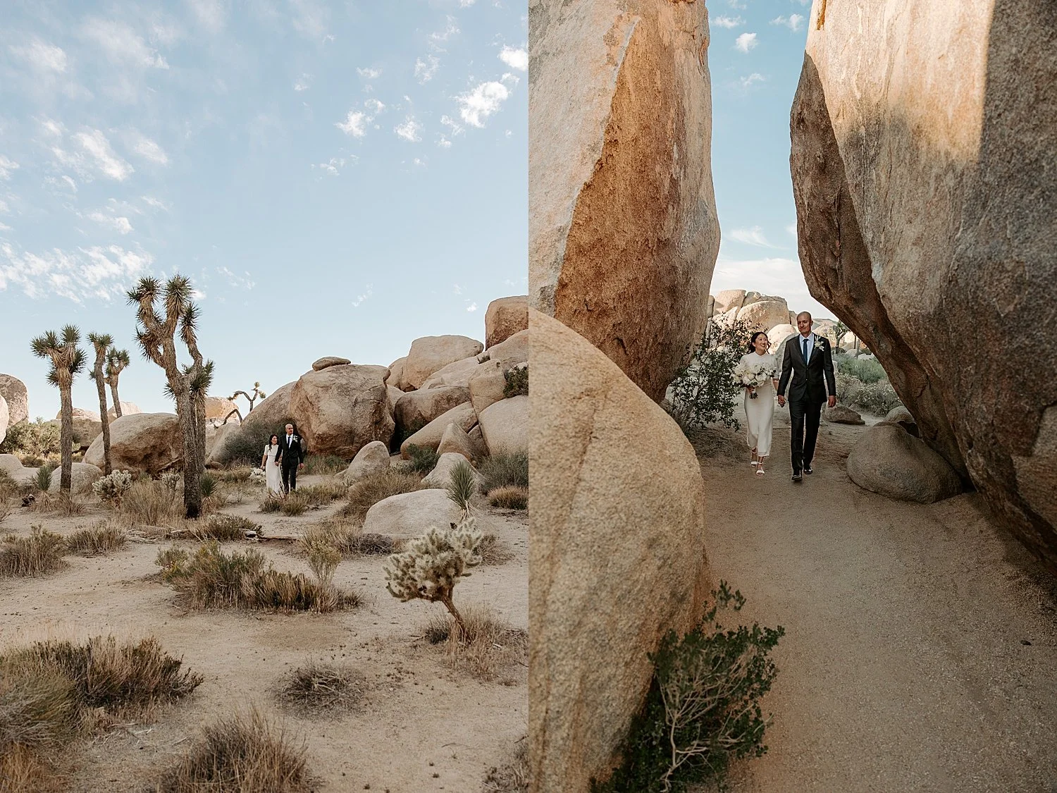 Bride and groom hold hands and walk through Joshua Trees and large rocks through the desert