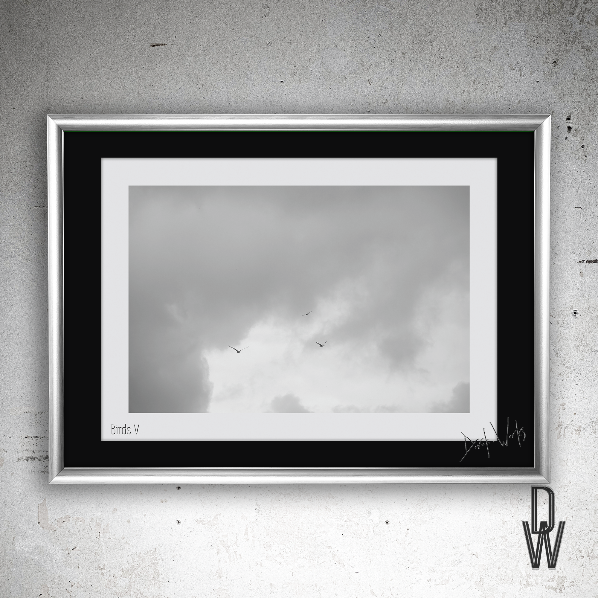 Birds V frame wall.png