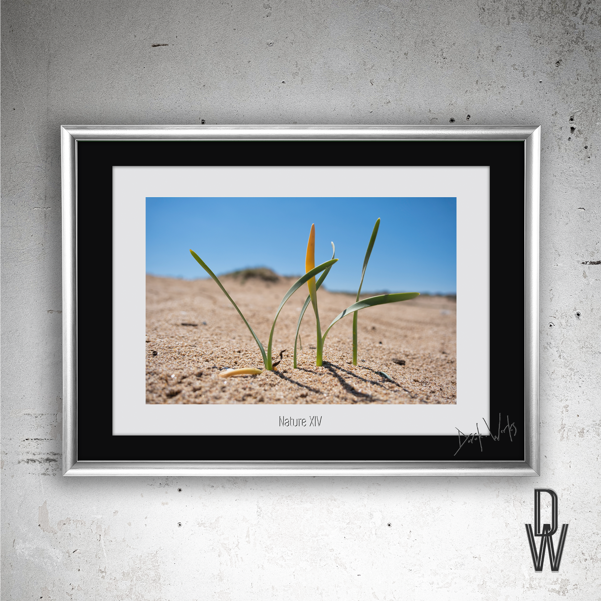 Nature XIV frame wall.png